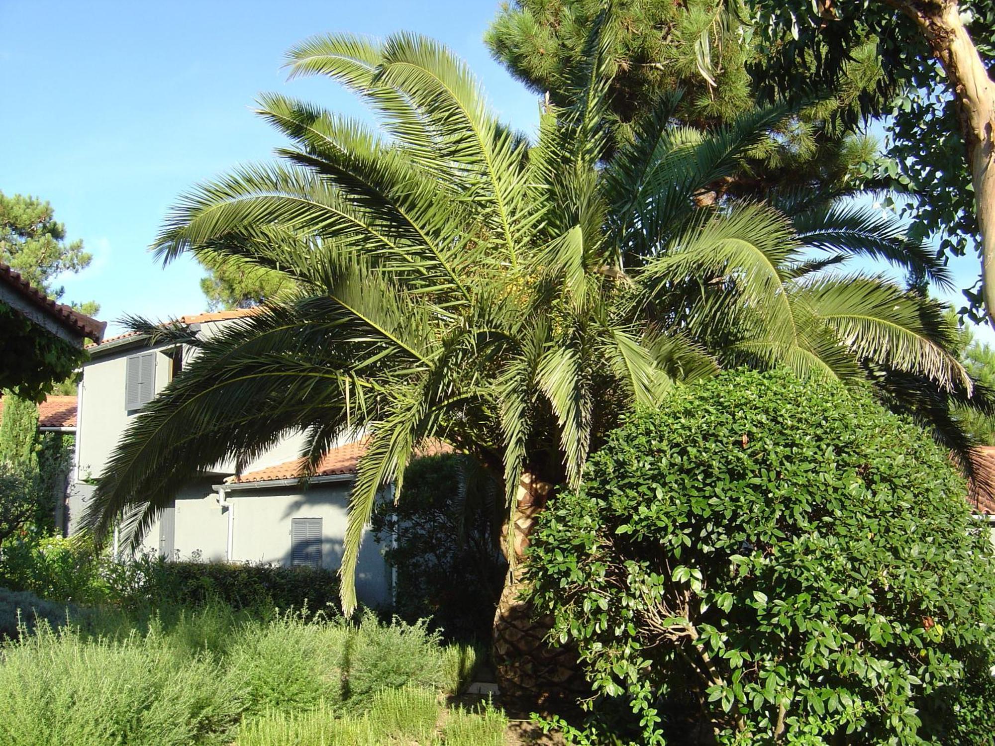 Residence Blue Marine Porto-Vecchio  Exterior photo